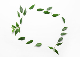 Frame made of green tea leaves on white background