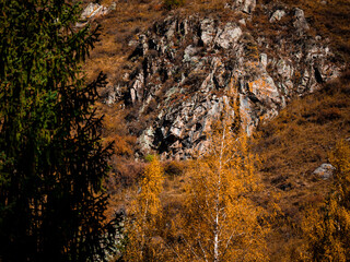 stone wall background