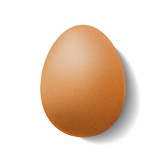 Single brown chicken egg.