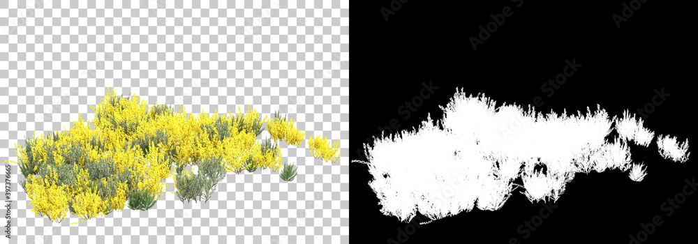 Poster field of wild grass from mountain isolated on background with mask. 3d rendering - illustration.