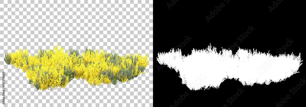 Poster field of wild grass from mountain isolated on background with mask. 3d rendering - illustration.