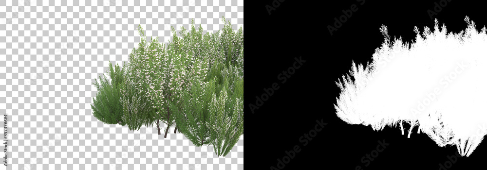 Poster field of wild grass from mountain isolated on background with mask. 3d rendering - illustration.