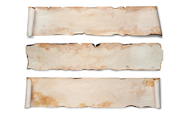 A set of old crumpled paper scrolls. Isolated on white, copy space