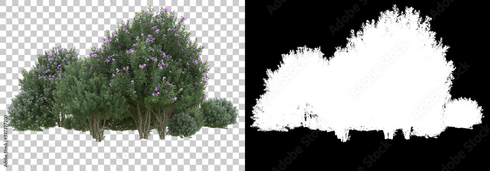 Poster field of wild grass from mountain isolated on background with mask. 3d rendering - illustration.