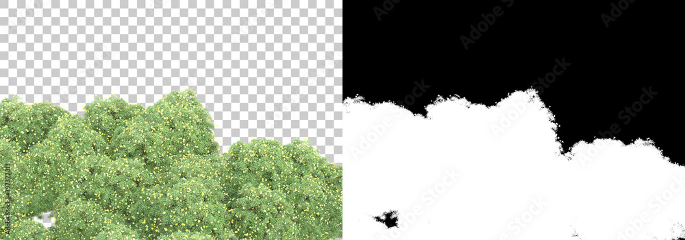Poster green surface covered with wild grass and flowers isolated on background with mask. 3d rendering - i