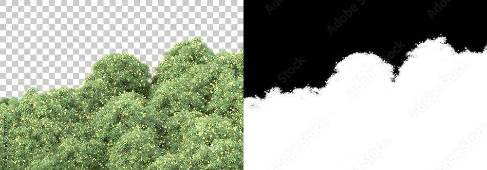 Poster green surface covered with wild grass and flowers isolated on background with mask. 3d rendering - i