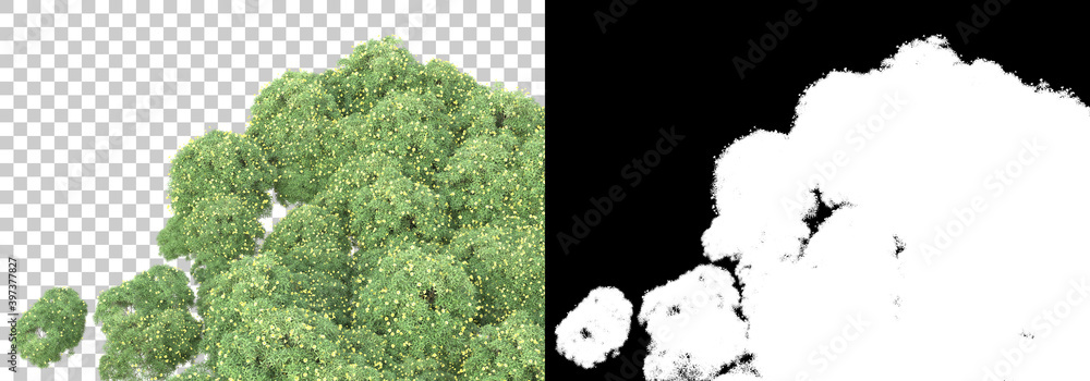 Poster green surface covered with wild grass and flowers isolated on background with mask. 3d rendering - i