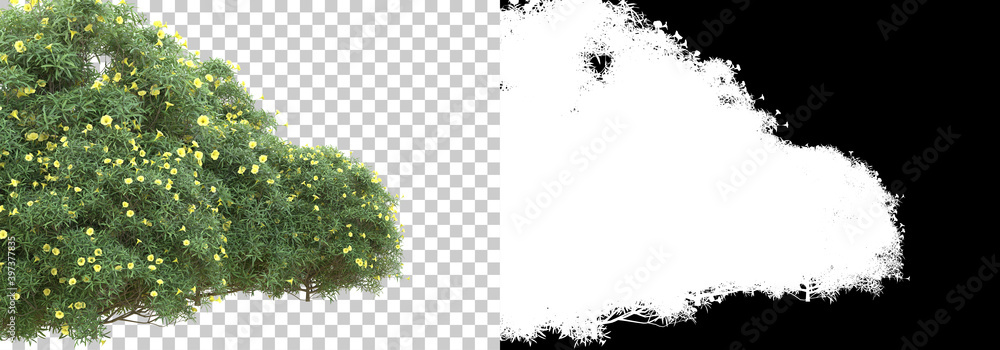 Poster green surface covered with wild grass and flowers isolated on background with mask. 3d rendering - i