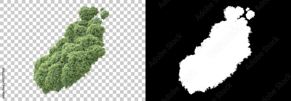 Poster green surface covered with wild grass and flowers isolated on background with mask. 3d rendering - i