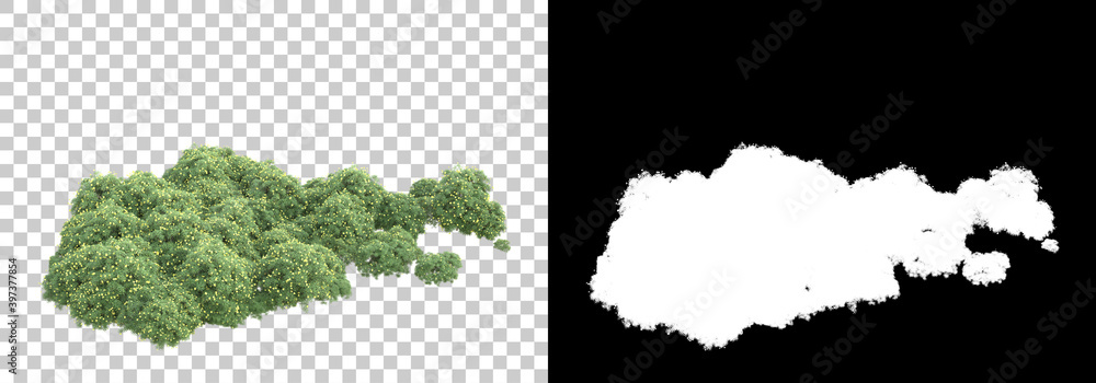 Poster green surface covered with wild grass and flowers isolated on background with mask. 3d rendering - i
