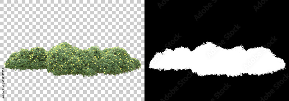 Poster green surface covered with wild grass and flowers isolated on background with mask. 3d rendering - i