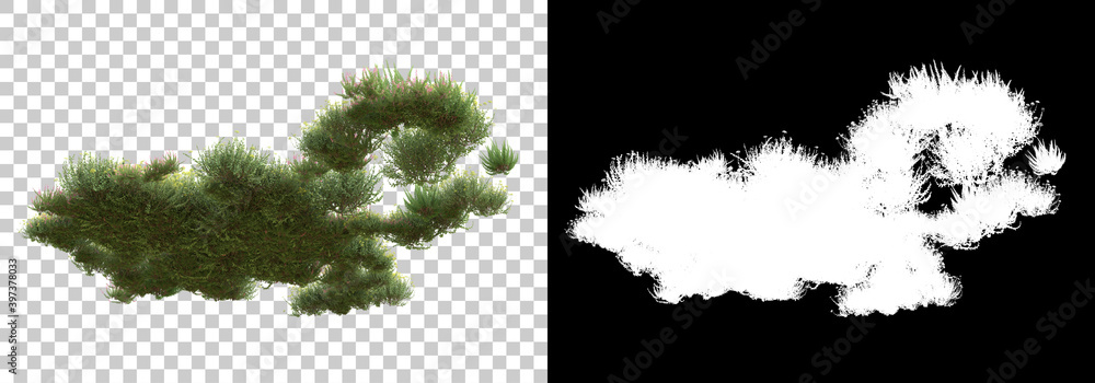 Poster green surface covered with wild grass and flowers isolated on background with mask. 3d rendering - i