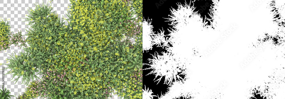 Aufkleber green surface covered with wild grass and flowers isolated on background with mask. 3d rendering - i