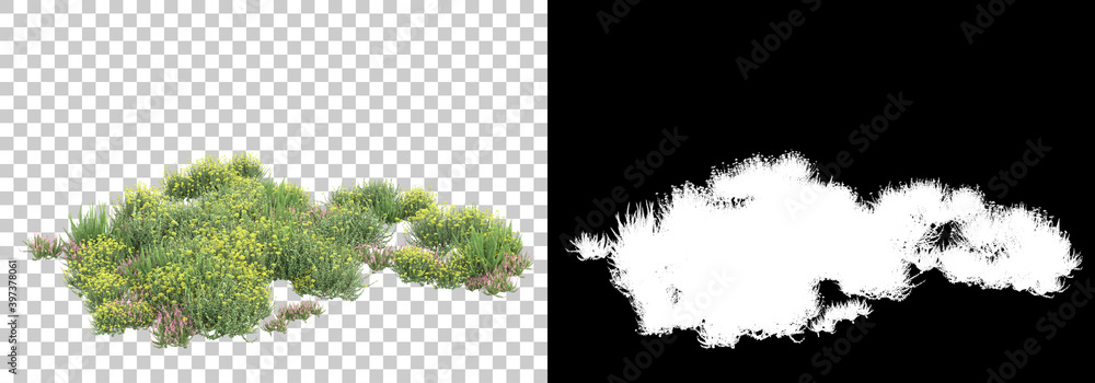 Poster field of wild grass from mountain isolated on background with mask. 3d rendering - illustration