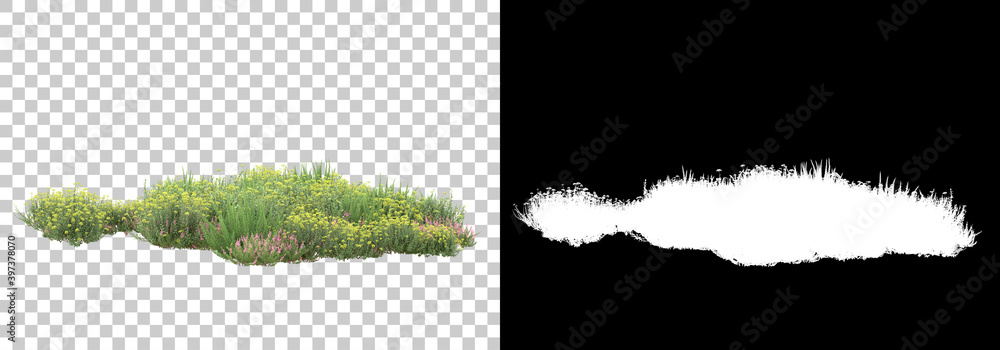 Poster field of wild grass from mountain isolated on background with mask. 3d rendering - illustration