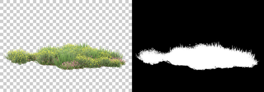 Field of wild grass from mountain isolated on background with mask. 3d rendering - illustration
