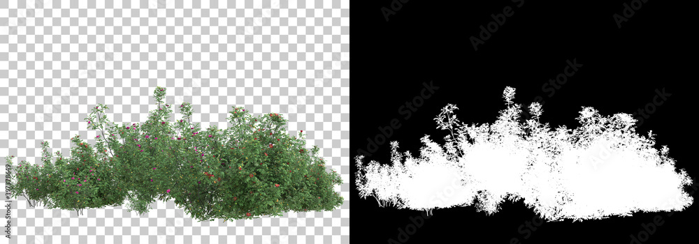 Poster field of wild grass from mountain isolated on background with mask. 3d rendering - illustration