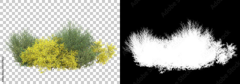 Poster field of wild grass from mountain isolated on background with mask. 3d rendering - illustration