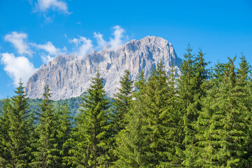 Mountain peak with spruce trees in the foreground