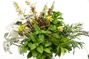 ein stau&szlig; frisch gepfl&uuml;ckter mediterraner kr&auml;uter