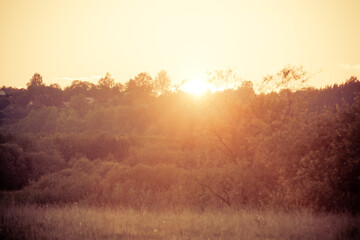 Sunny morning rural landscape. Summer village life concept. Nature and serenity.