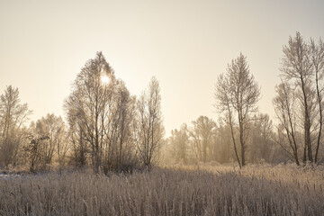 Breath of winter, first ice on the lake, dawn on a frosty morning with frost on the grass, close-up of frost, patterns on the first ice.