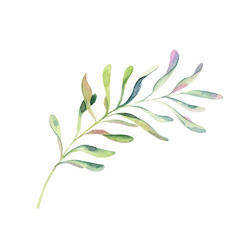 Meet me under the mistletoe. berries on sprig with leaf.