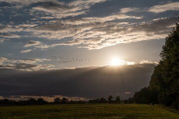 Landschaft in Brandenburg