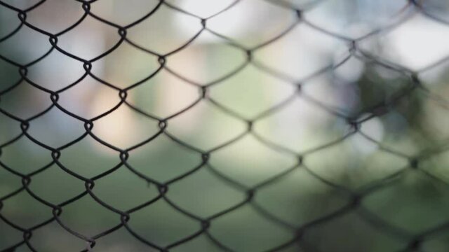 metallic wire mesh fence background