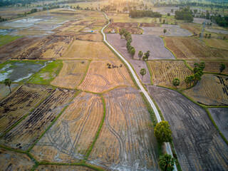 Sunset over paddy fields after harvest