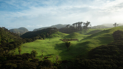 Rolling green hills at sunrise, Wharariki Beach, South Island, New Zealand - Powered by Adobe