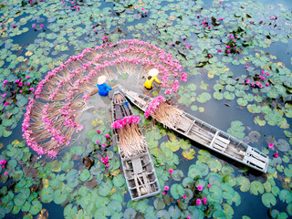 AN GIANG, VIETNAM - NOVEMBER 29, 2020: Vietnamese women displaying water lily flowers on the river