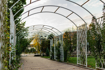 Walkway in the city's public Park. Beautiful white metal arch, lots of greenery, trees and conifers...