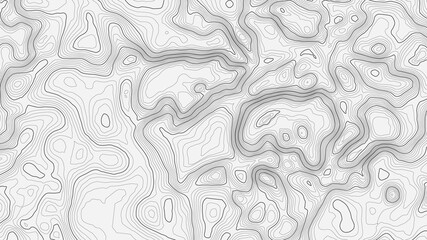 Background of the topographic map. Topographic map lines, contour map background. Geographic abstract grid. EPS 10 vector illustration.