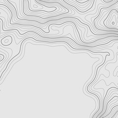 Background of the topographic map. Topographic map lines, contour map background. Geographic abstract grid. EPS 10 vector illustration.