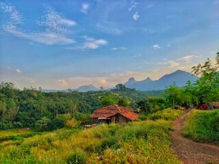 landscape in the morning