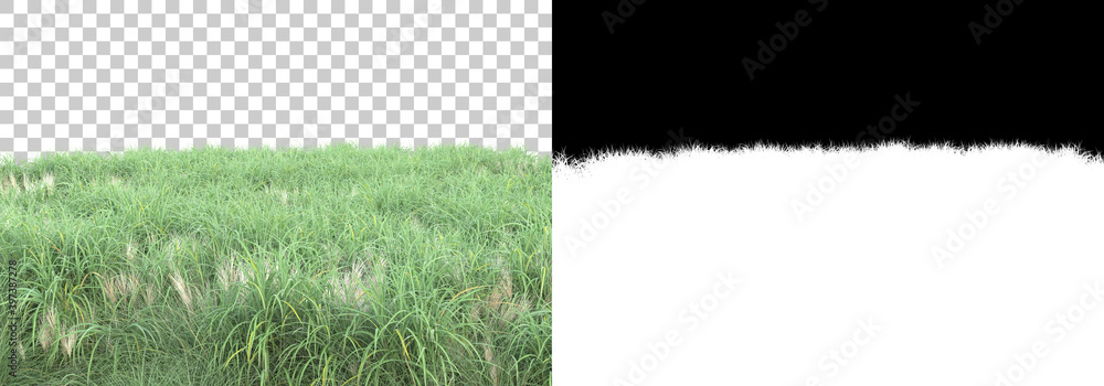 Aufkleber green surface covered with wild grass and flowers isolated on background with mask. 3d rendering - i
