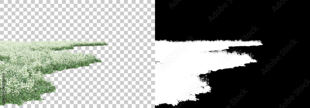Aufkleber green surface covered with wild grass and flowers isolated on background with mask. 3d rendering - i