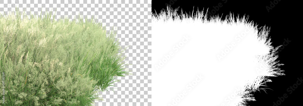 Aufkleber green surface covered with wild grass and flowers isolated on background with mask. 3d rendering - i