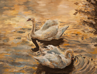 Two white swans on autumn lake. Fall scenery. Oil painting on canvas
