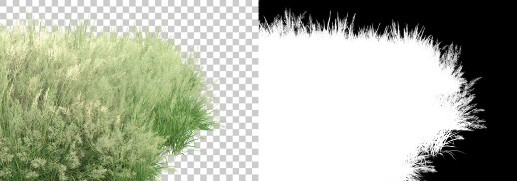 Green surface covered with wild grass and flowers isolated on background with mask. 3d rendering - illustration