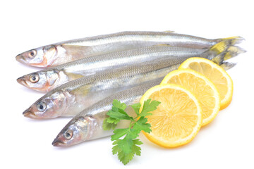 Smelt fish on white background