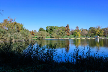 Fototapeta premium Landscape with grey old bridge and many large green and yellow old trees near the lake in a sunny autumn day in Tineretului Park in Bucharest, Romania .