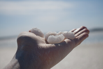 pieces of salt on the lodon summer, day
