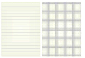 Lines and squares sheet paper. vector