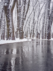 Obraz premium Snowy winter park with slush on the path