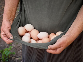Farmer holding fresh organic eggs