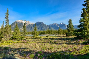 Rocky Mountains. Beautiful landscape with mountains and rivers in the Jasper National Park Canada. Icefield parkway. Travel through the nature of canada