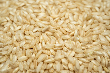 Background macro whole rice shot.