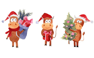 Watercolor illustration set of bulls symbol new 2021 congratulations on the holiday